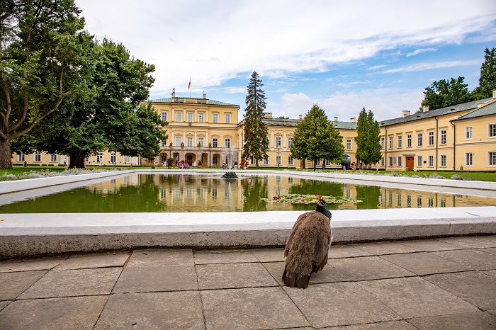 palac czartoryskich w pulawach